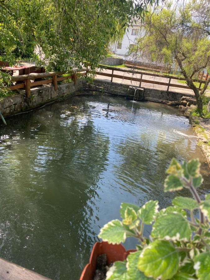 Pensiune Pastravarie La Pintea Haiducu Deseşti Exteriér fotografie