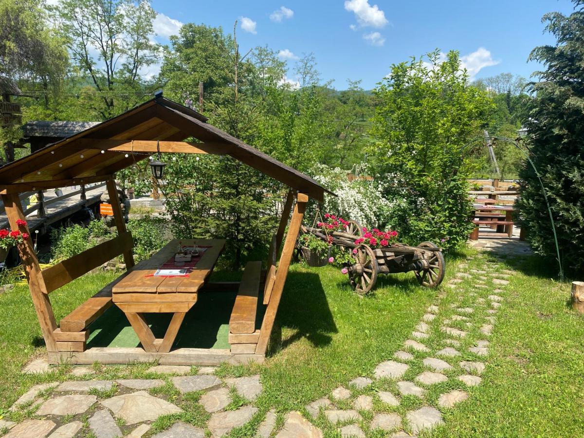 Pensiune Pastravarie La Pintea Haiducu Deseşti Exteriér fotografie