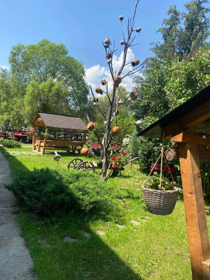 Hotel Pensiune Pastravarie La Pintea Haiducu Deseşti Exteriér fotografie