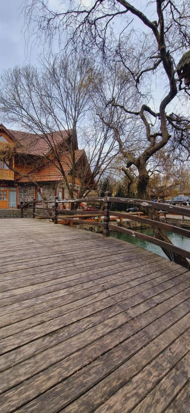 Pensiune Pastravarie La Pintea Haiducu Deseşti Exteriér fotografie