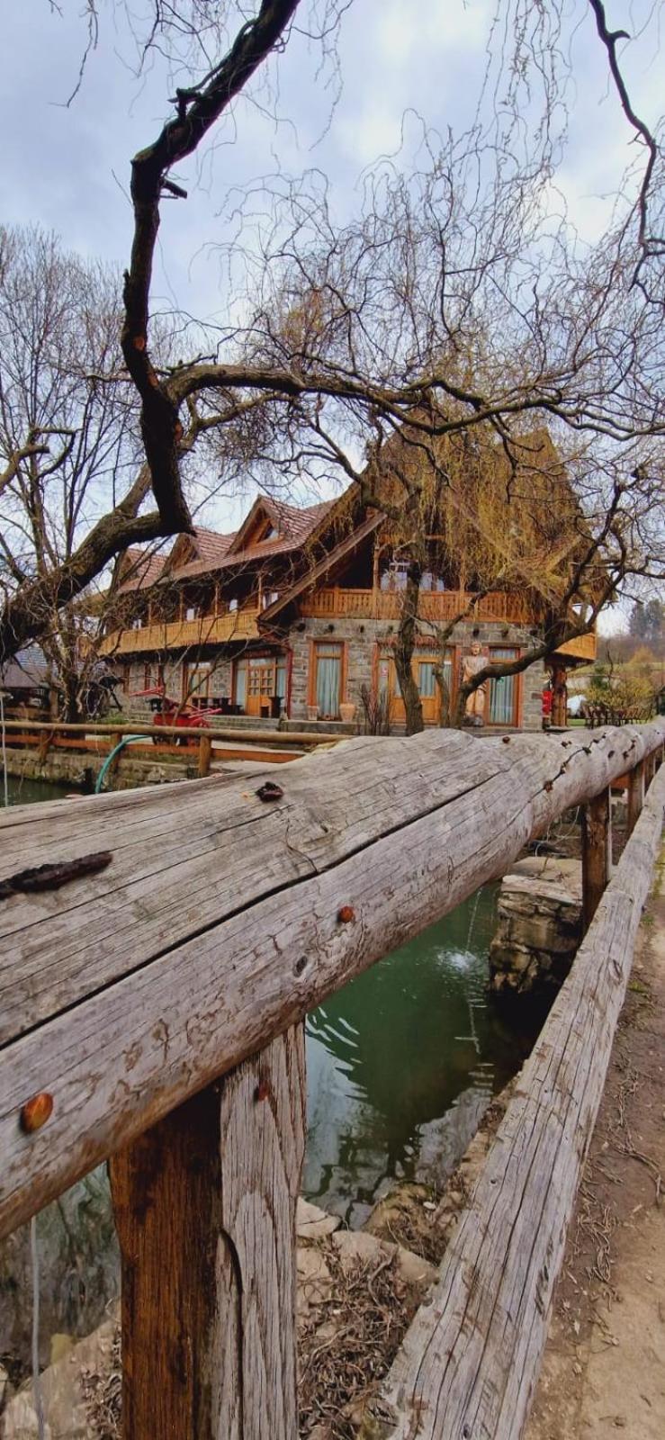Pensiune Pastravarie La Pintea Haiducu Deseşti Exteriér fotografie