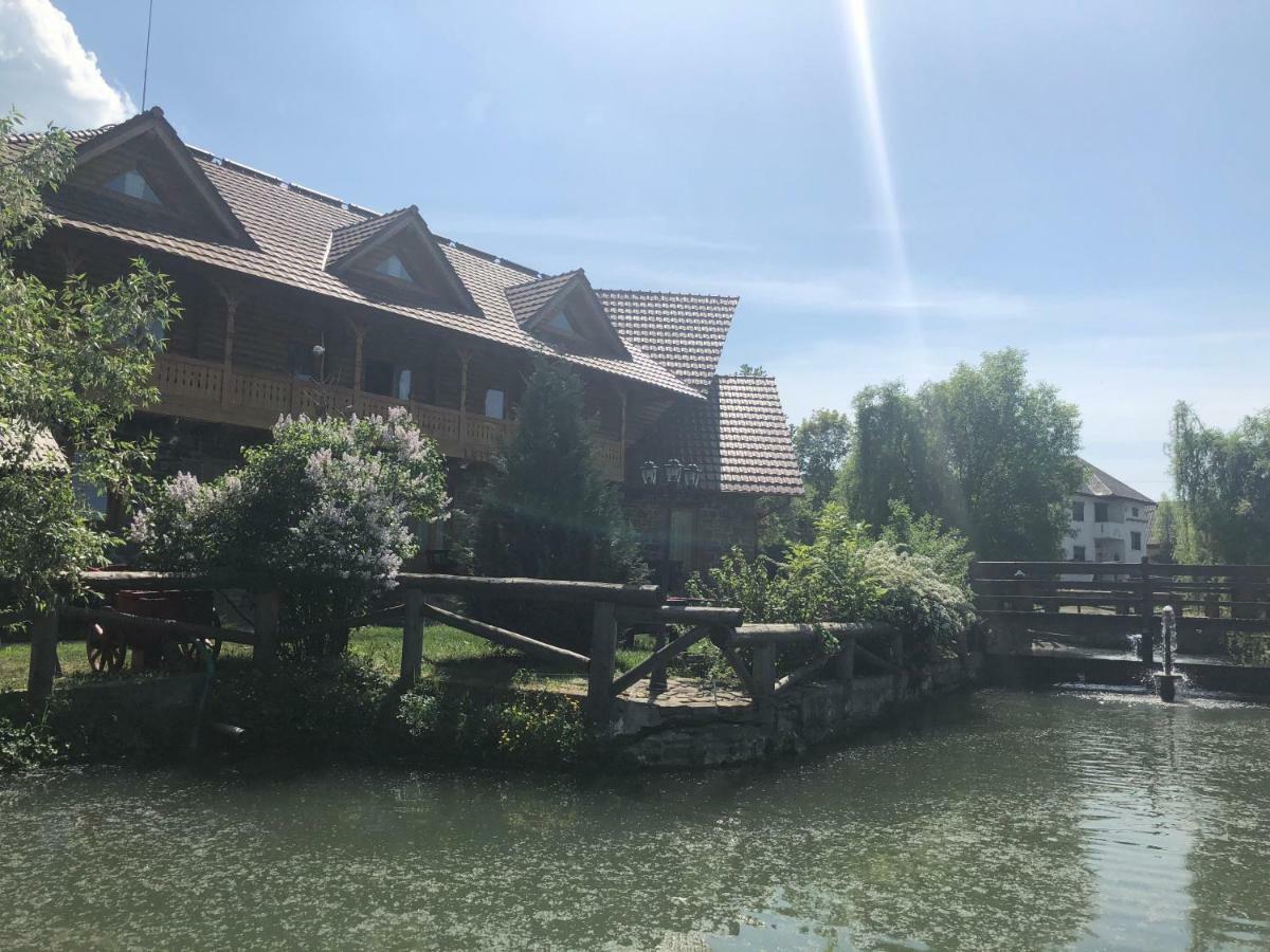 Hotel Pensiune Pastravarie La Pintea Haiducu Deseşti Exteriér fotografie